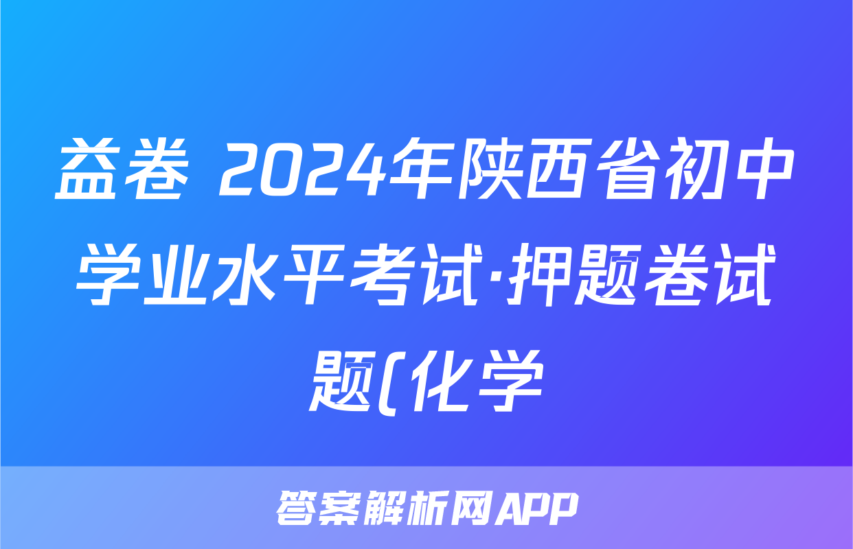 益卷 2024年陕西省初中学业水平考试·押题卷试题(化学)
